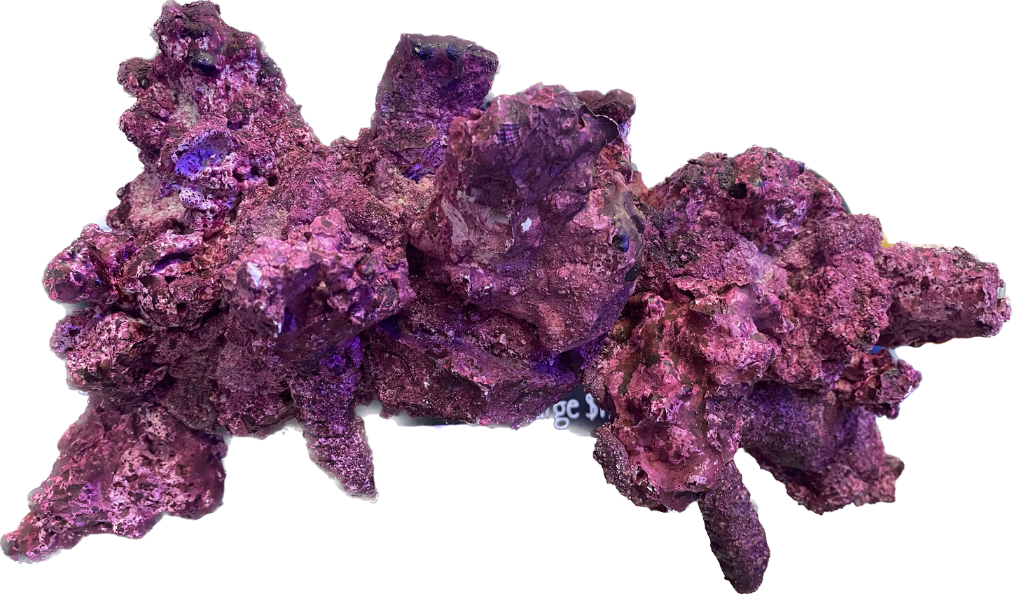Arch Real Reef