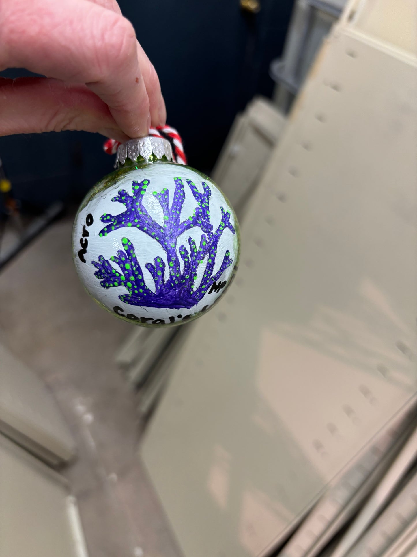 $50 Green Christmas Surprise (No Ornament) 2025