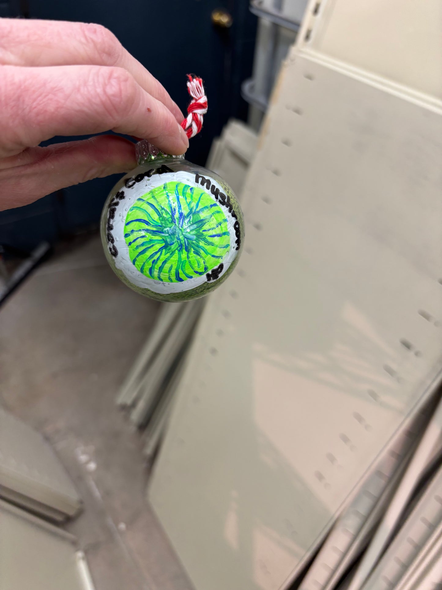 $50 Green Christmas Surprise (No Ornament) 2025