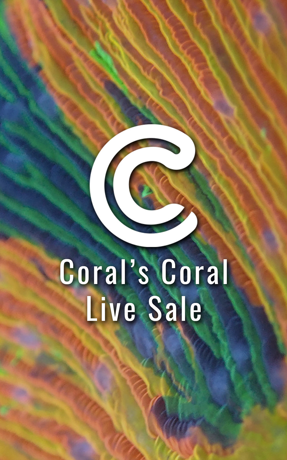 Test Product #1 Live Sale 6/29/24