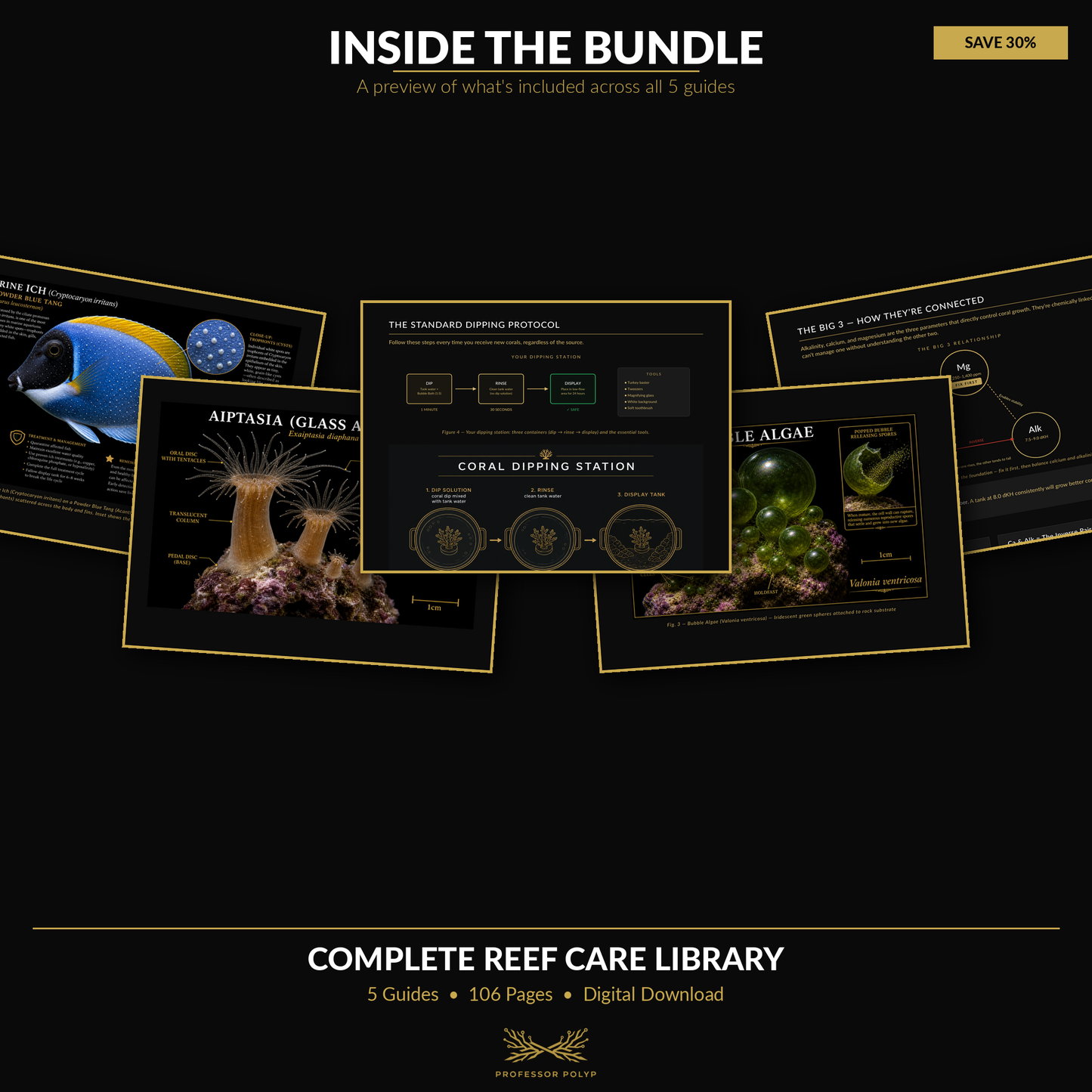 Complete Reef Care Library — All 5 Guides Bundle