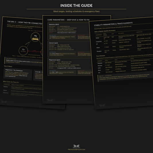 Reef Water Parameters Quick Reference Guide — Digital Download