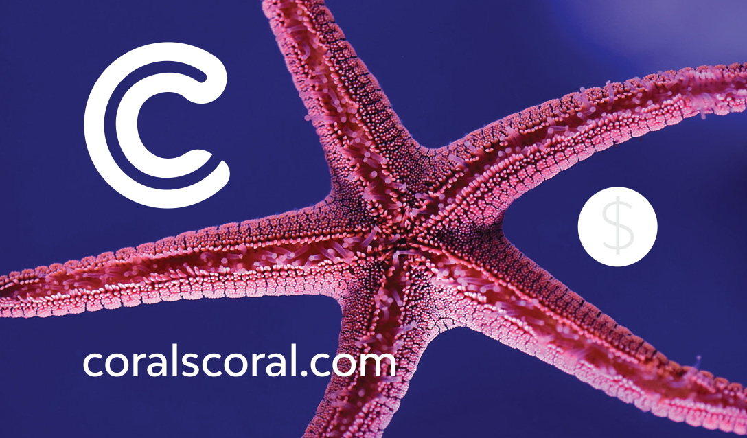 Gift Card - Coral's Coral - Coral's Coral Gift Cards
