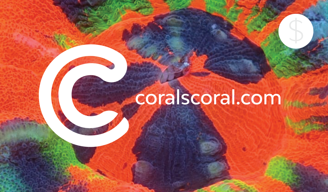 Gift Card - Coral's Coral - Coral's Coral Gift Cards